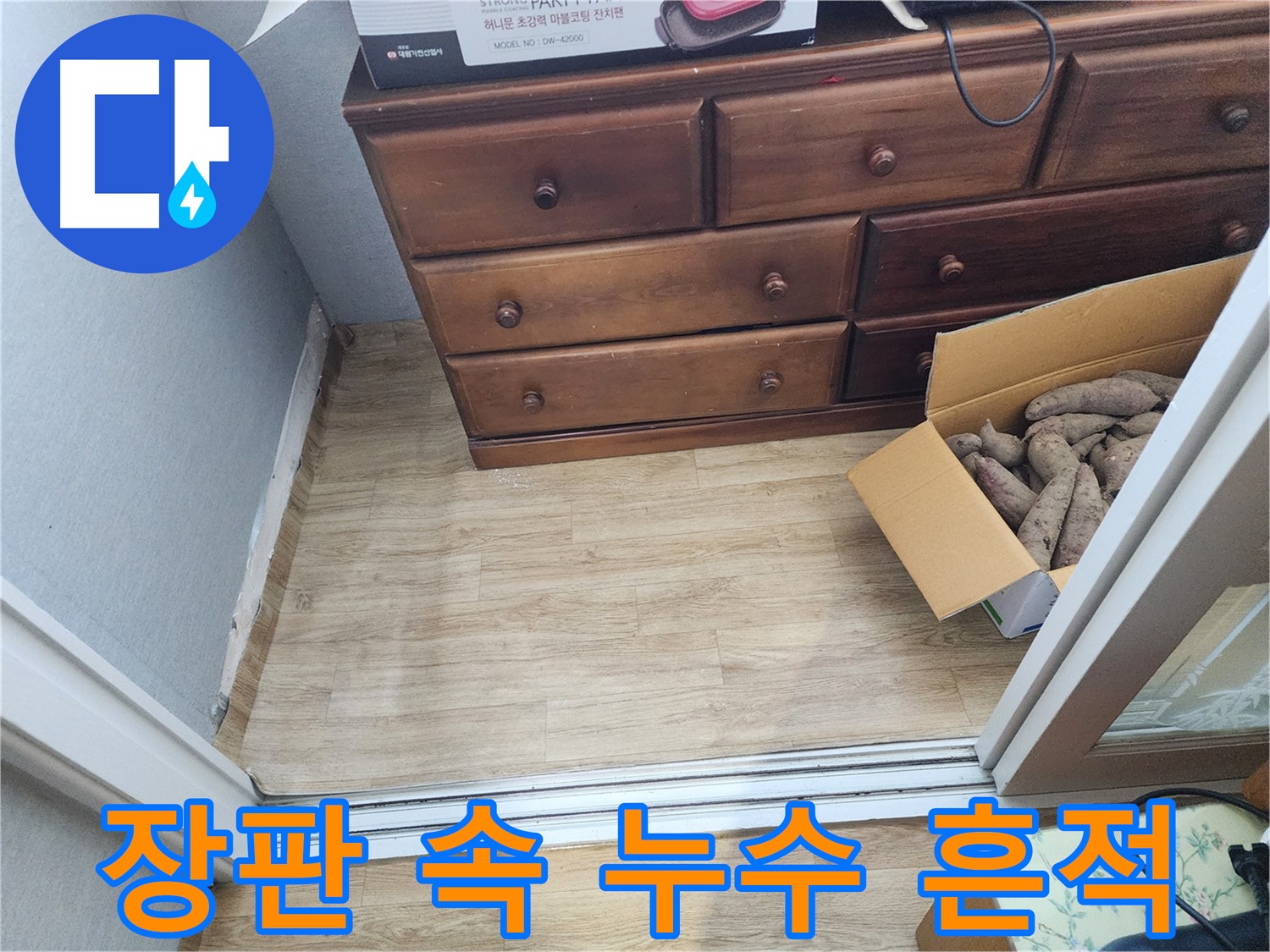 수원 율전동 누수 - 장판 속에 숨겨진 누수 흔적을 찾아내 초기 대응의 중요성을 보여줍니다.