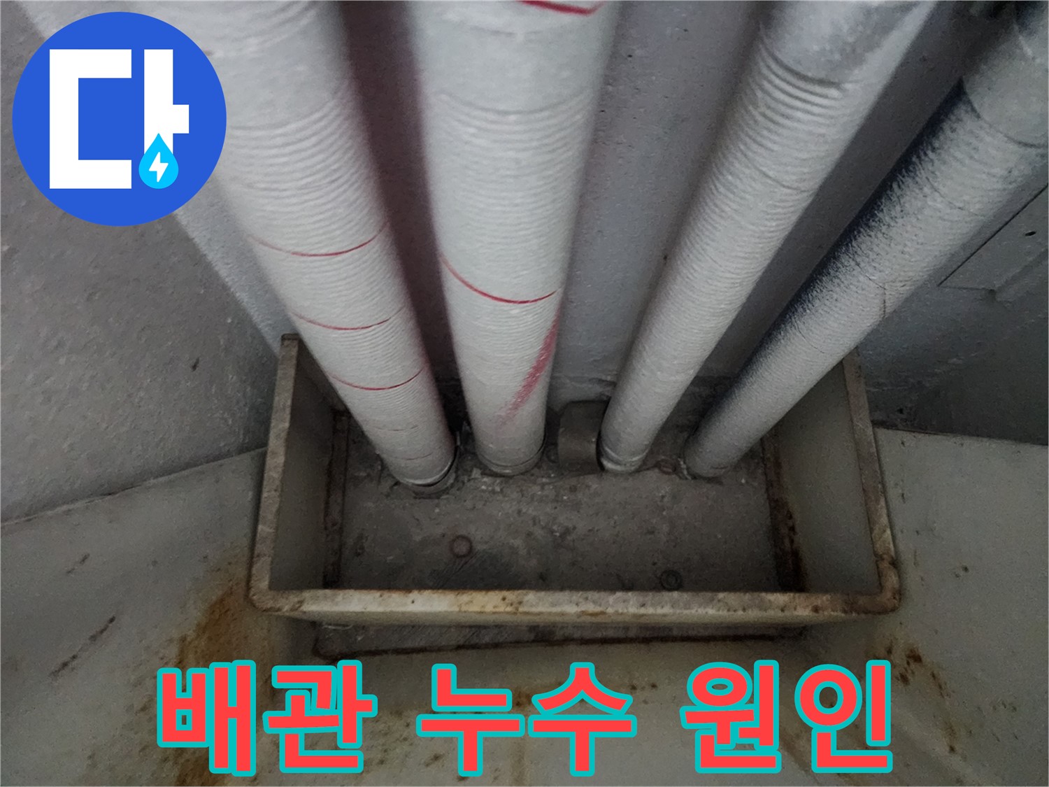 장안구 율전동 누수 - 아파트 배관 누수, 정확한 원인 파악과 완벽한 해결