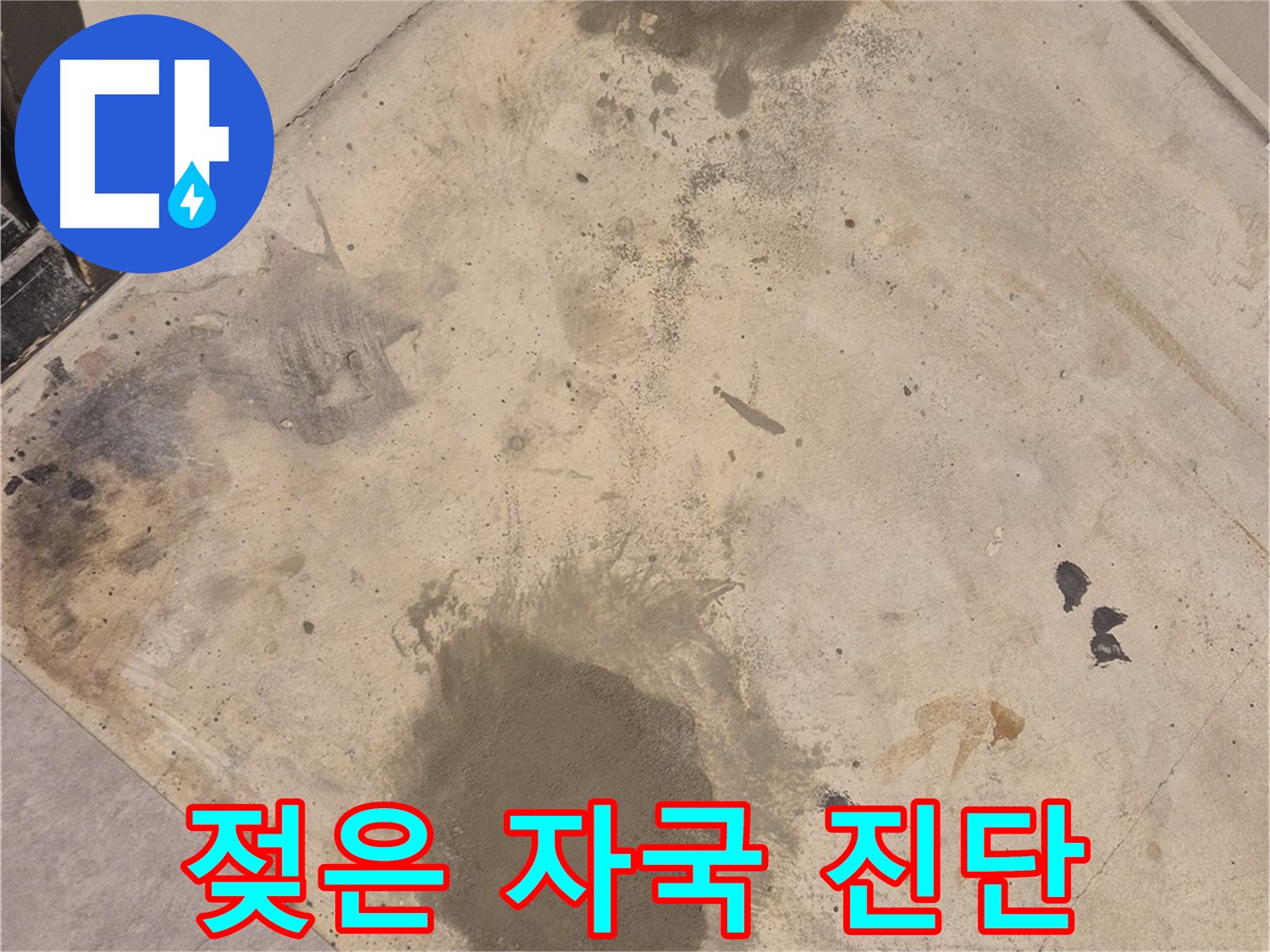 광진구 동일로30길 52 누수 현장 - 젖은 자국 발견, 누수 탐지 전문가의 정밀 진단 모습