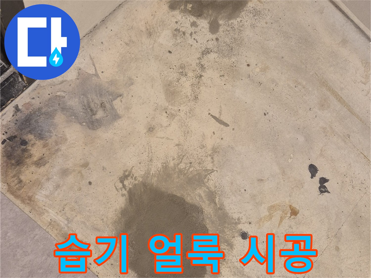광진구 동일로30길 누수 현장 - 습기로 얼룩진 바닥, 누수 해결 전문가의 완벽 시공