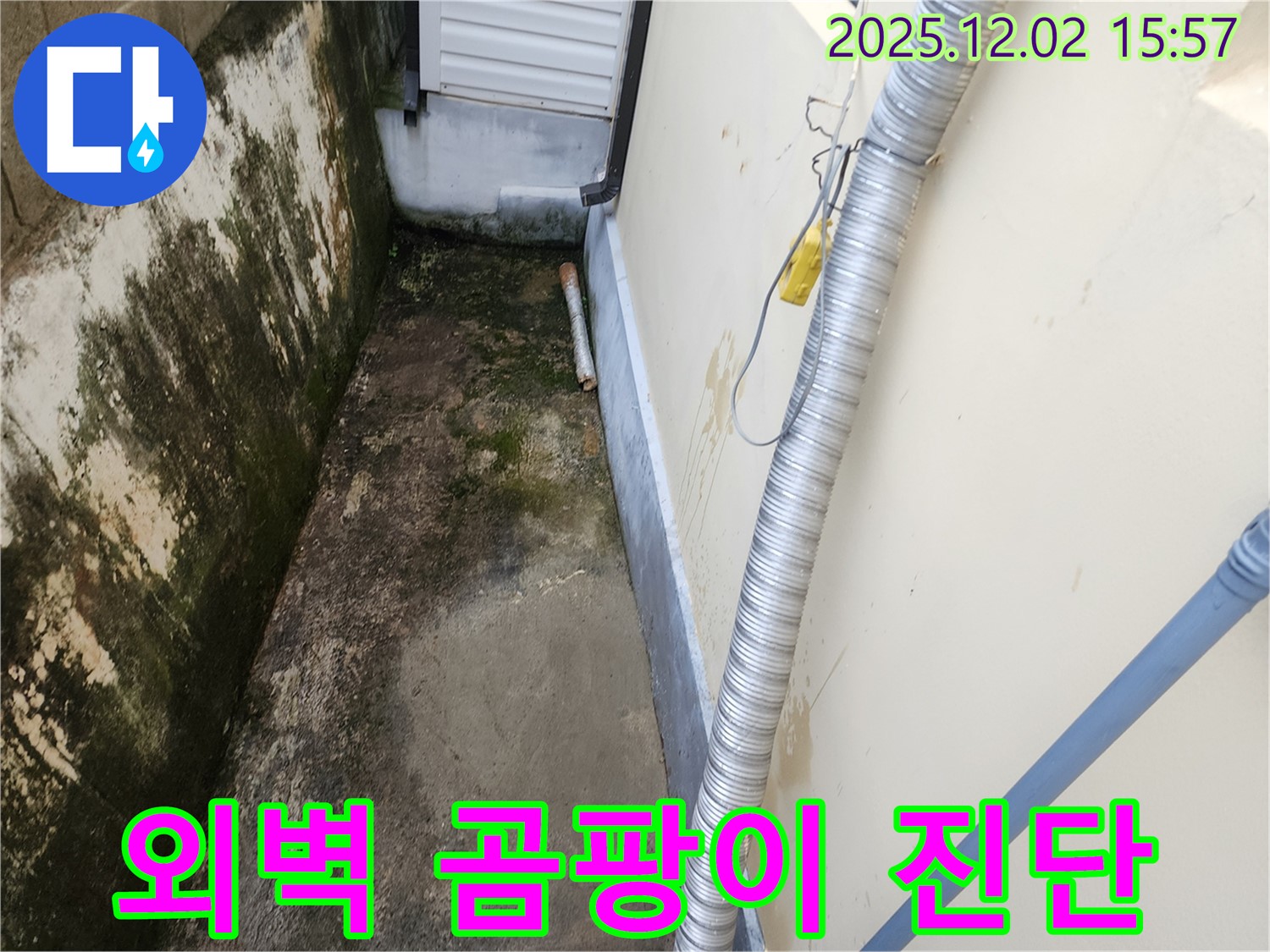 외벽 곰팡이와 습기 - 좁은 공간 배수 문제, 정확한 진단과 맞춤 해결책 제시