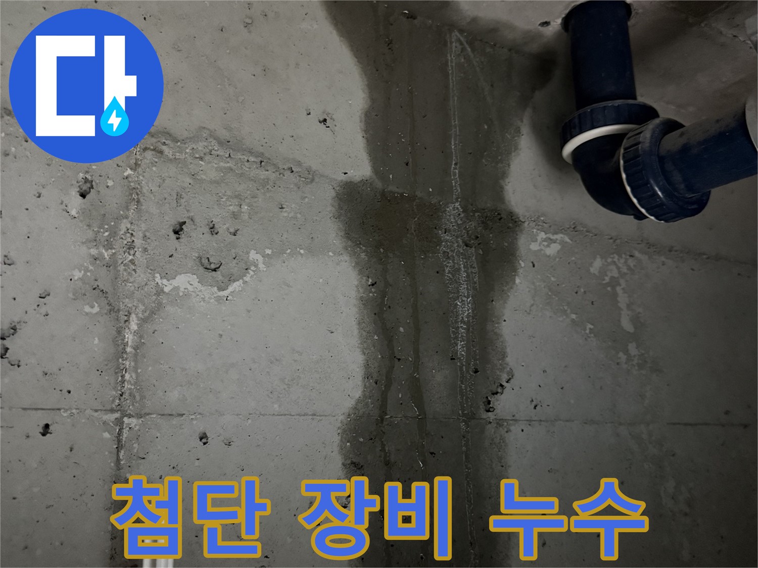 동두천 지행동 아파트 욕실 누수 탐지에 사용되는 최첨단 장비 - 정확한 누수 지점 탐색.