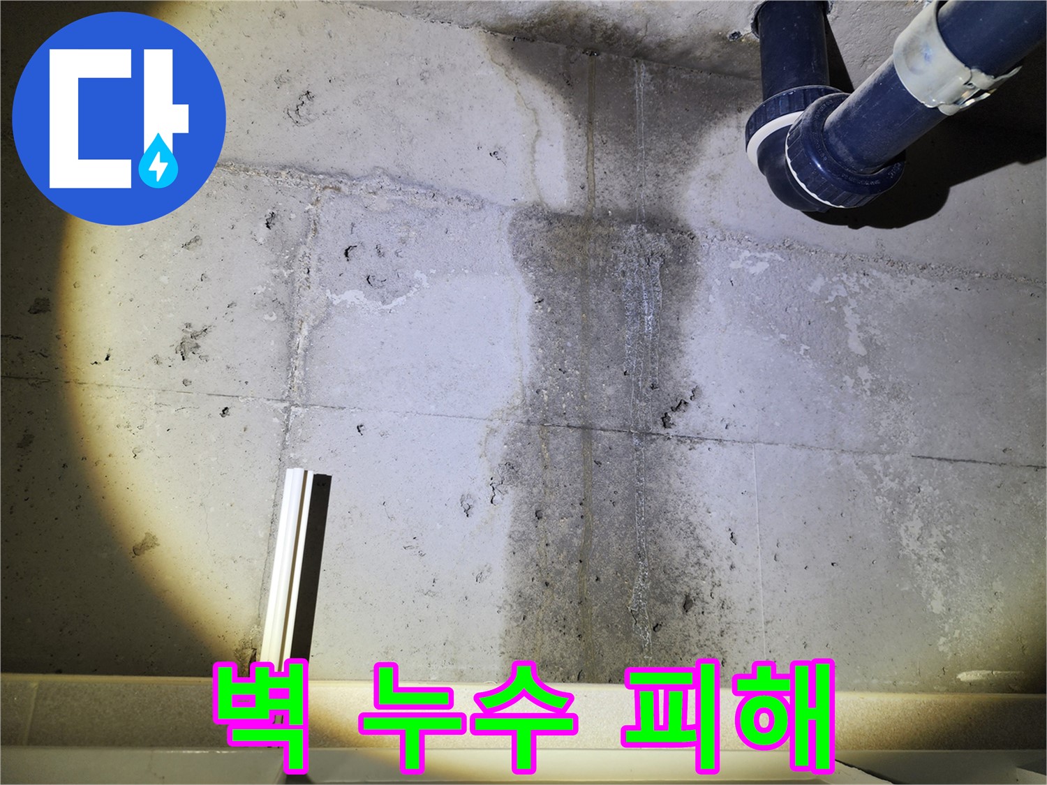 동두천 지행동 아파트 콘크리트 벽 누수 - 누수 피해 상황 꼼꼼 확인