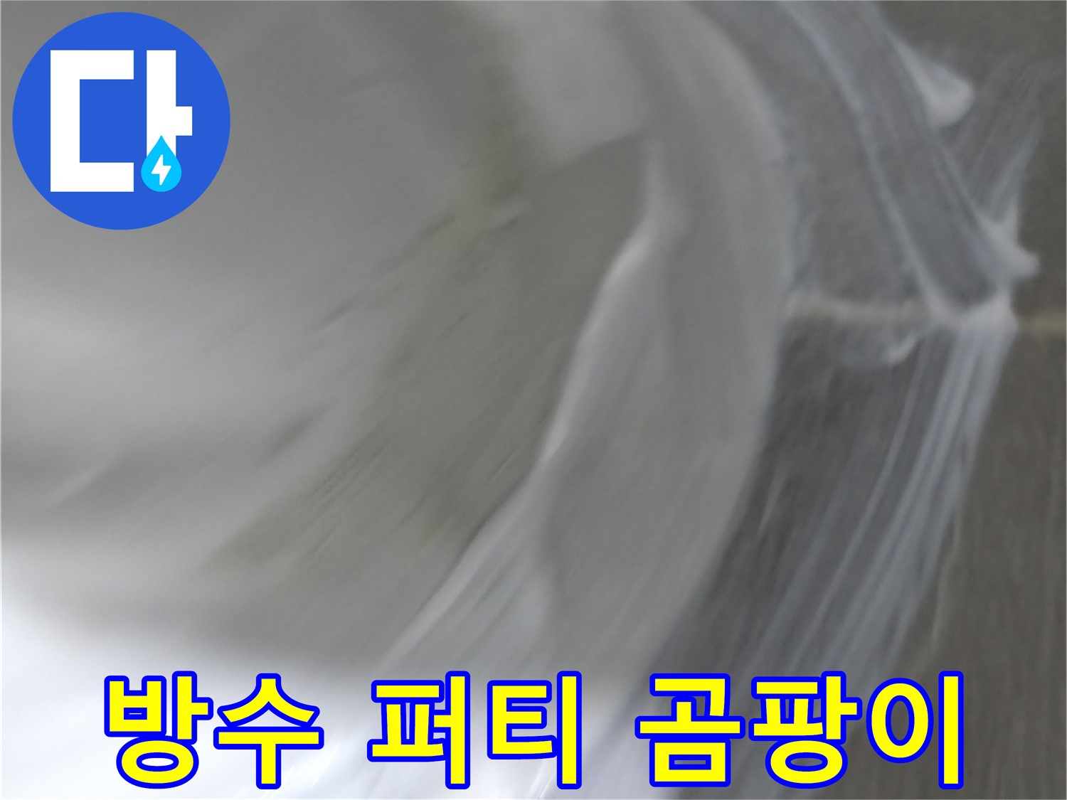 마포구 중동 건영 월드컵 아파트 누수 - 곰팡이 제거 작업으로 쾌적한 환경을 만듭니다.