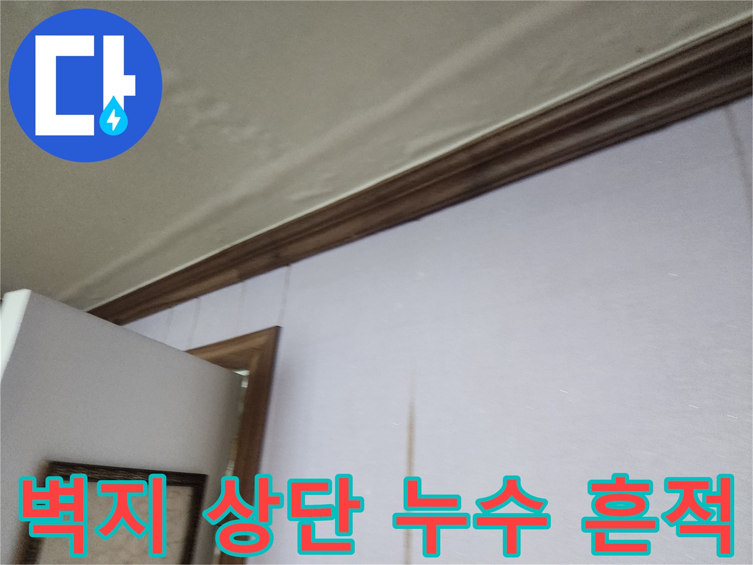 천장 몰딩 아래쪽으로 번진 젖은 얼룩과 습기 오염 부위