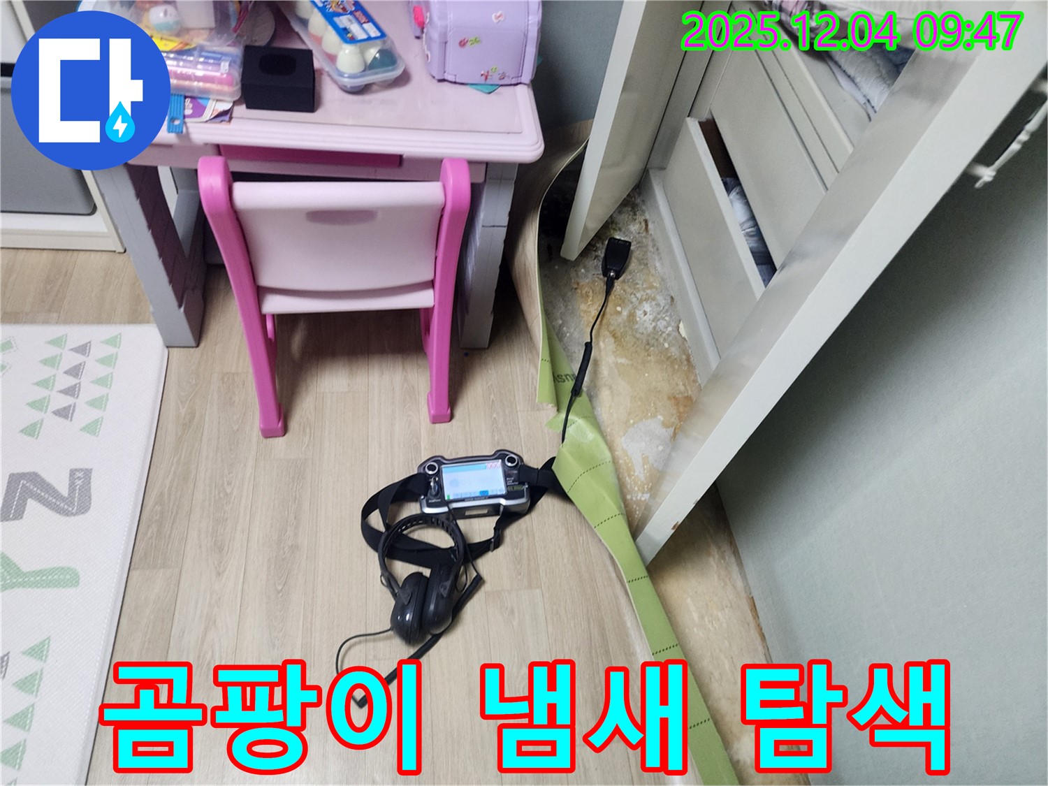 포천시 일동면 유동리 누수 - 장판 밑 누수, 곰팡이 냄새 진동?! 정밀 탐색 시작!