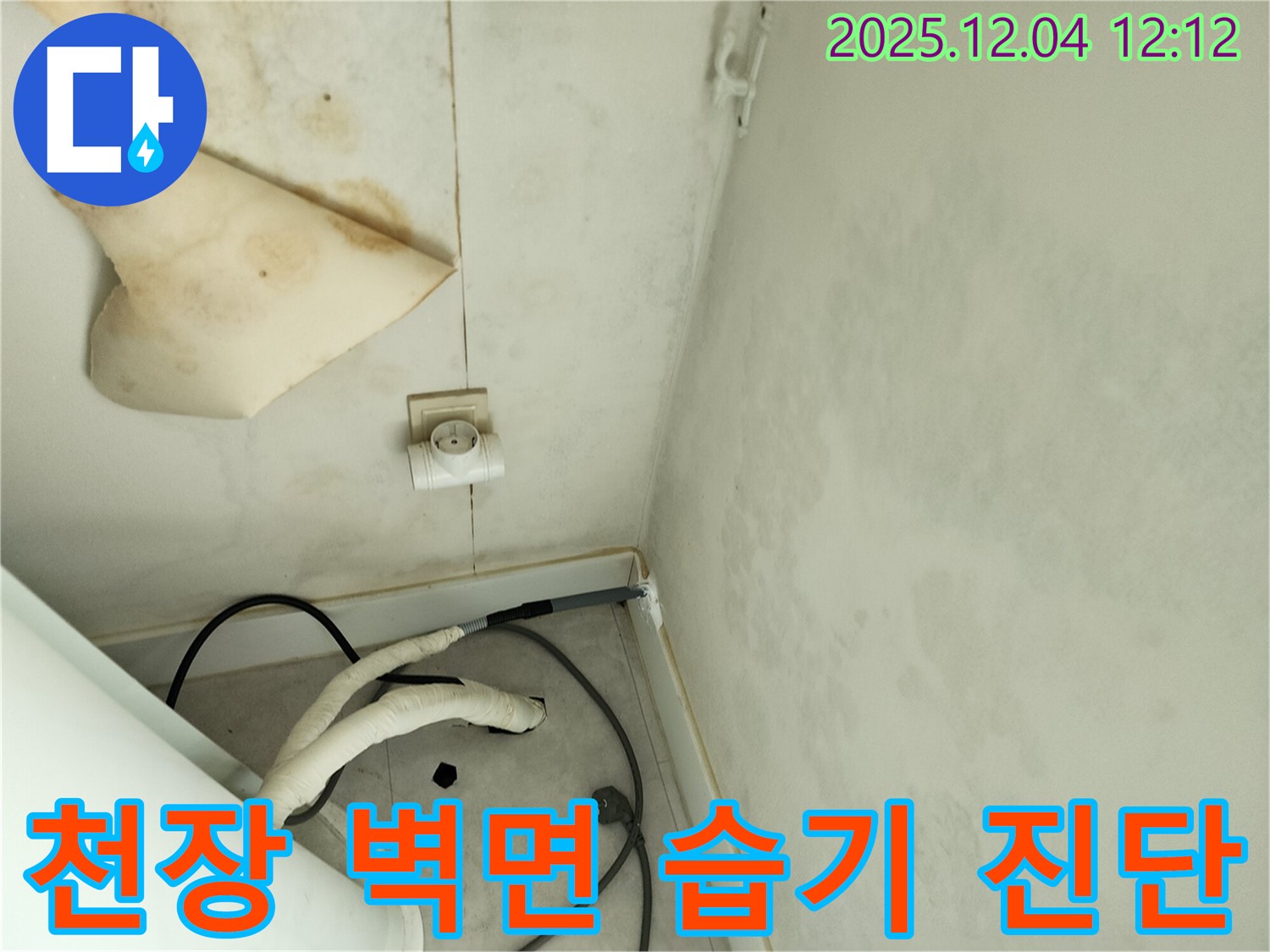 경기도 포천시 일동면 기산리 주택 누수 - 곰팡이 핀 천장과 벽면 습기 문제 해결을 위한 사전 진단 과정을 보여줍니다.
