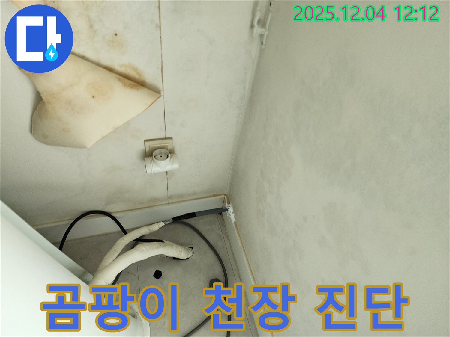 포천시 일동면 기산리 주택 - 곰팡이가 심하게 핀 천장을 긴급하게 진단하고 있습니다.