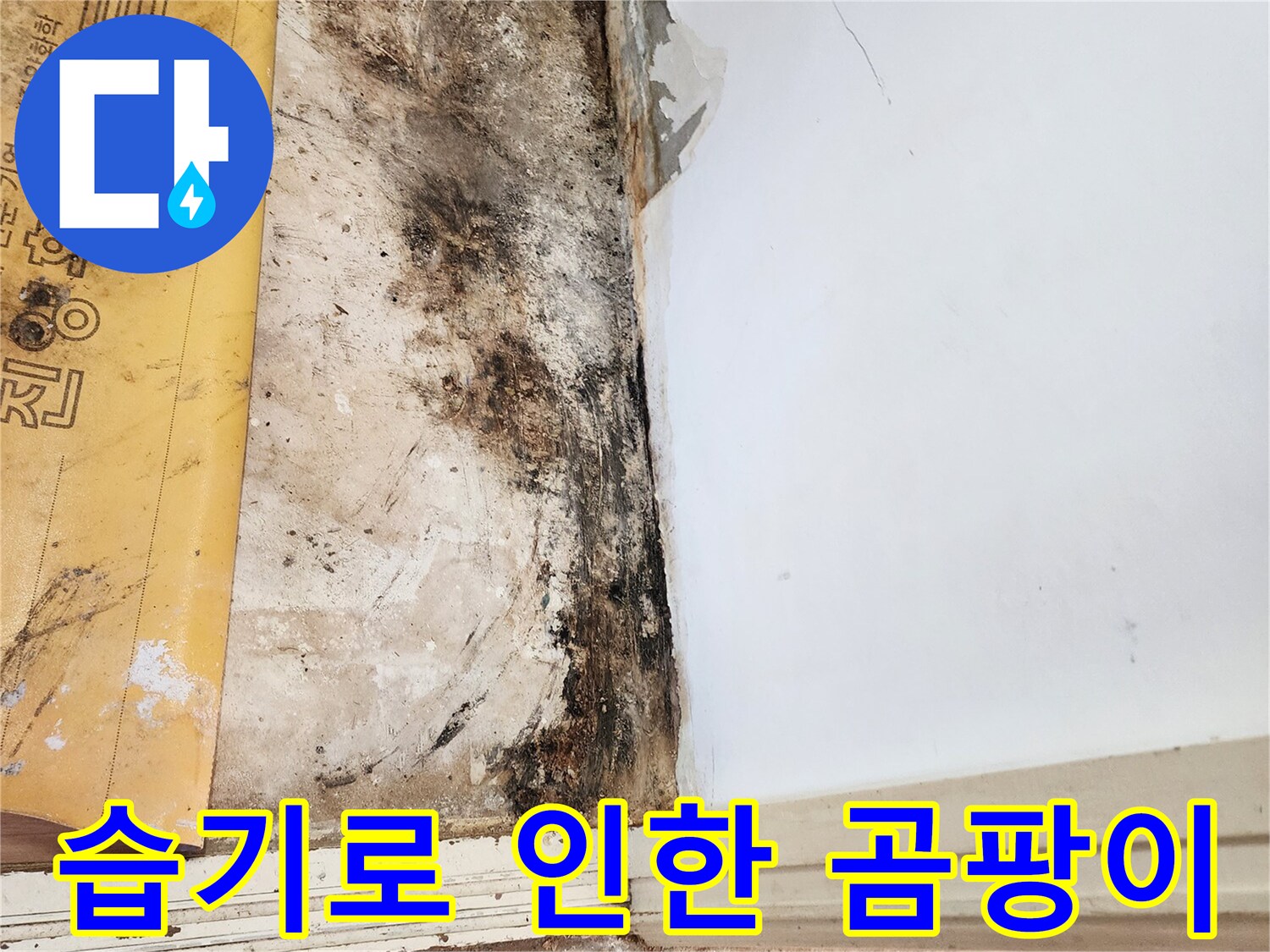 일동면 현장 사진-심하게 부식되고 오염된 벽 하단 마감재
