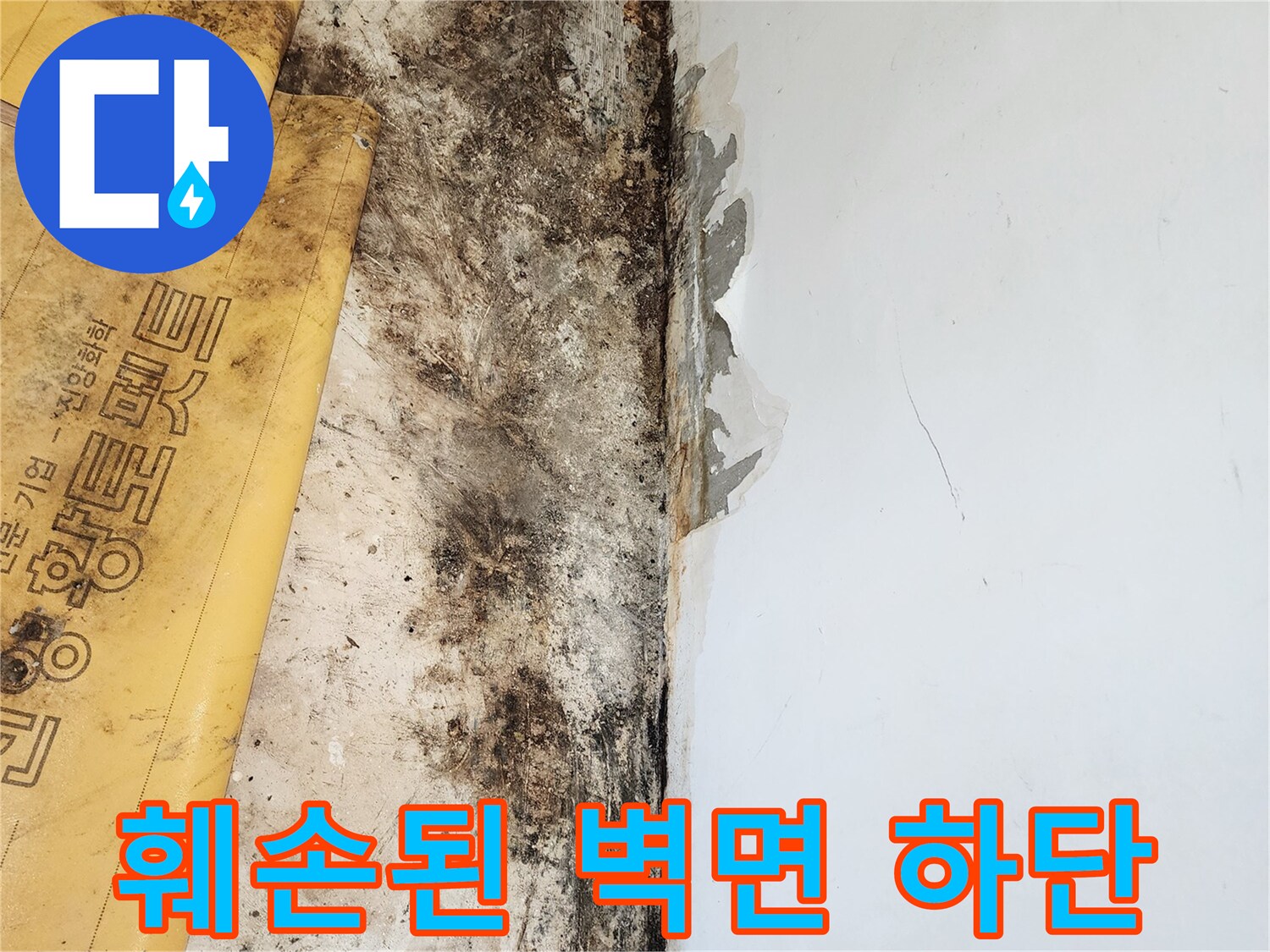 일동면 현장-습기로 인해 부식된 벽면 마감재