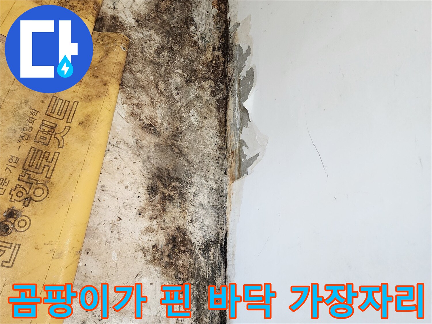 일동면 현장-심하게 오염된 벽 하단부 상태