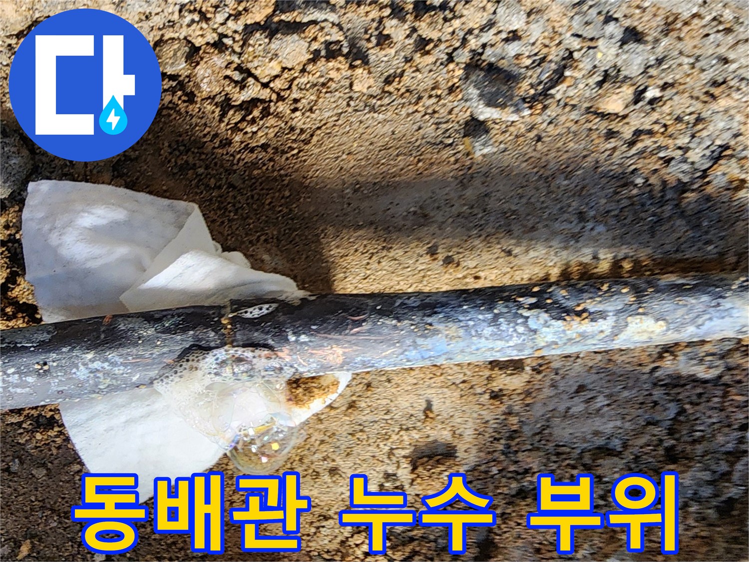노원구 월계동 아파트 동배관 누수 - 굴착 후 누수 부위를 상세하게 보여주는 사진