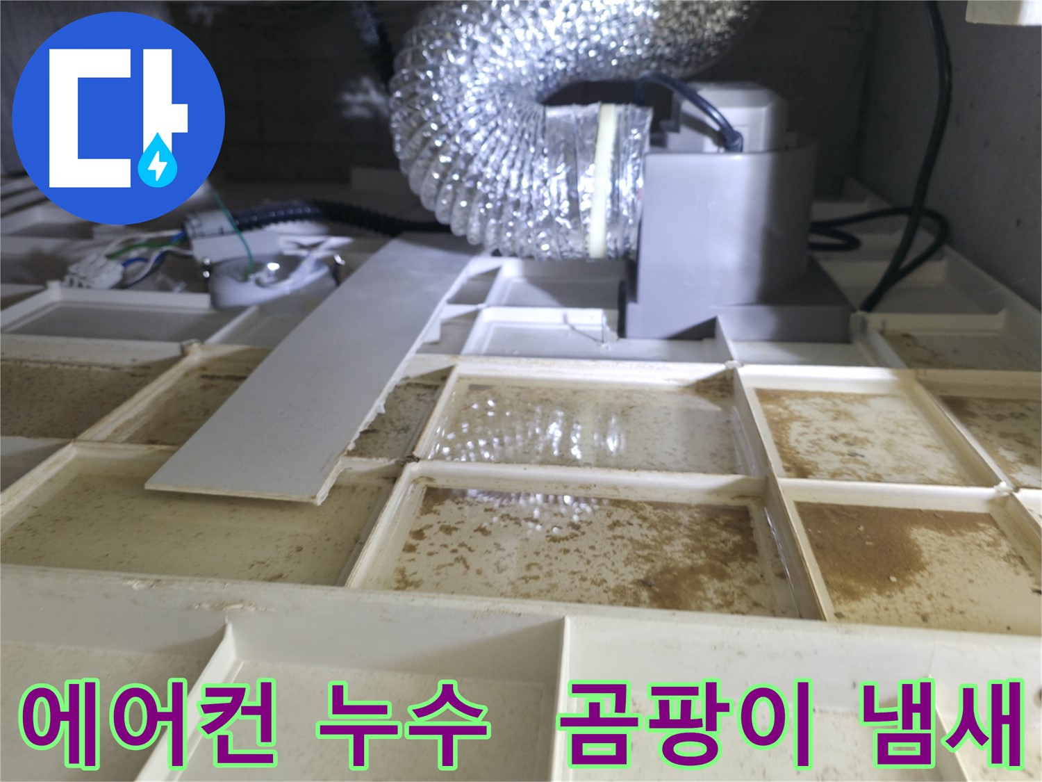 향남 아파트 에어컨 누수로 인한 곰팡이 냄새 발생 - 천장 속 누수 확인