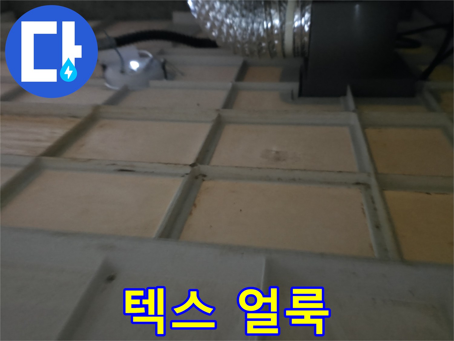 향남 - 텍스 얼룩은 숨겨진 누수의 증거