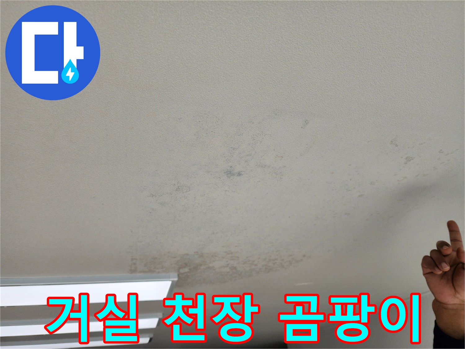 넓게 번진 천장 곰<0xAE>팡이와 얼룩 자국
