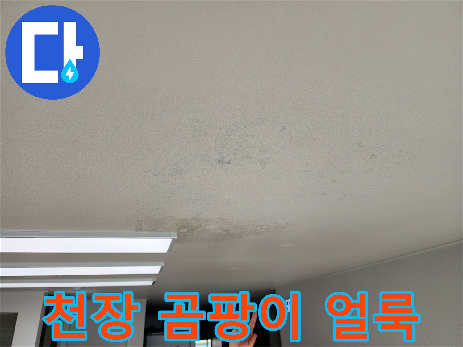 누수가 진행된 천장 벽지의 곰팡이와 변색된 부위