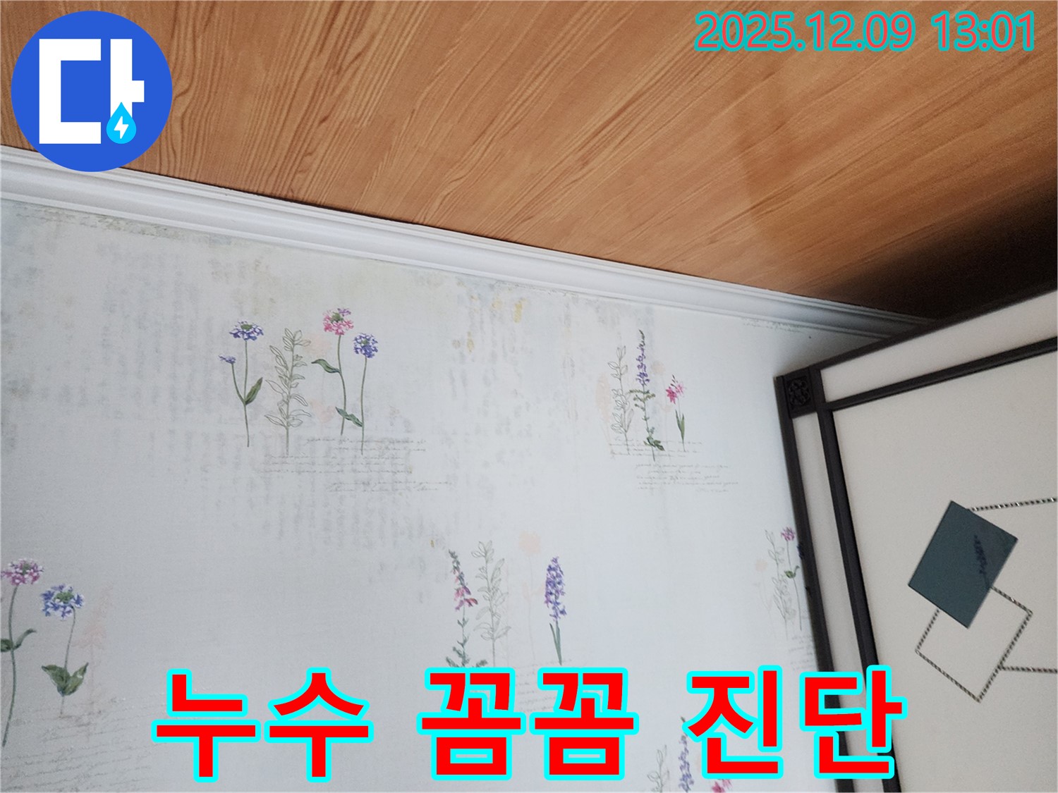 영중면 성동리 누수 현장 - 곰팡이 발생 전 꼼꼼한 누수 진단 과정