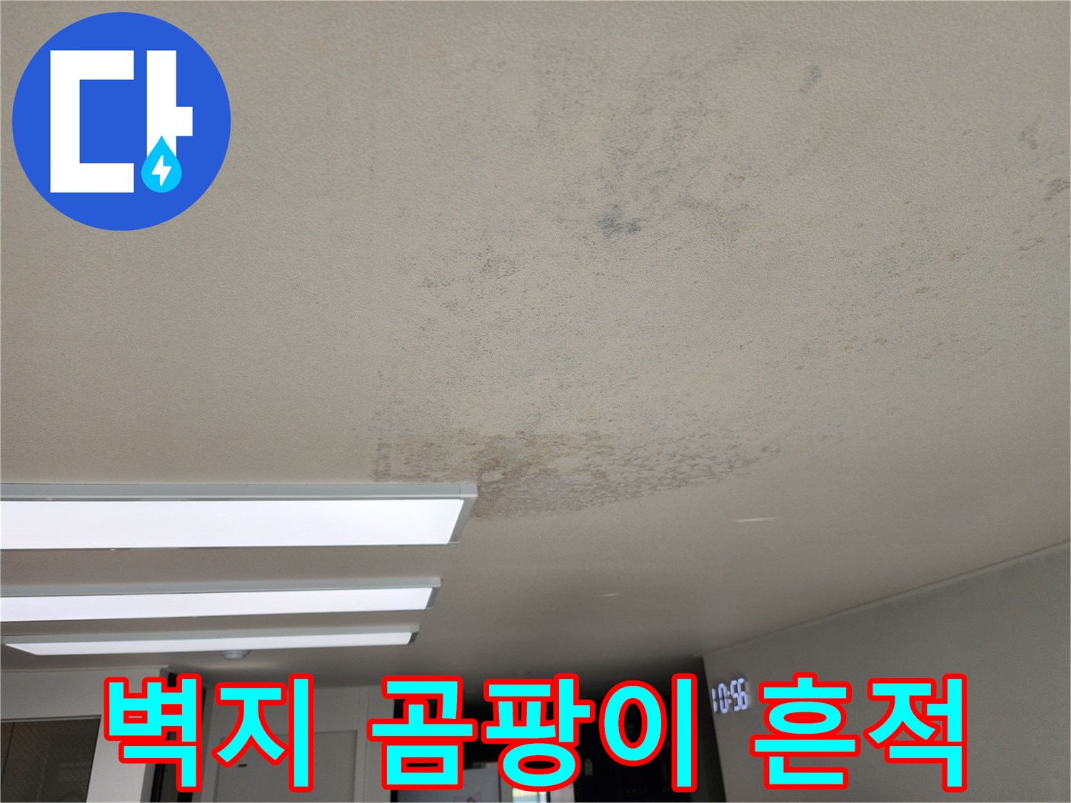 천장 벽면을 따라 번진 곰팡이와 습기 오염