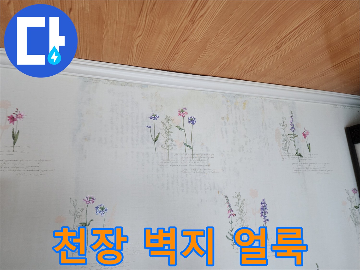 포천 영중면 현장-천장 벽지 변색 및 얼룩 상태