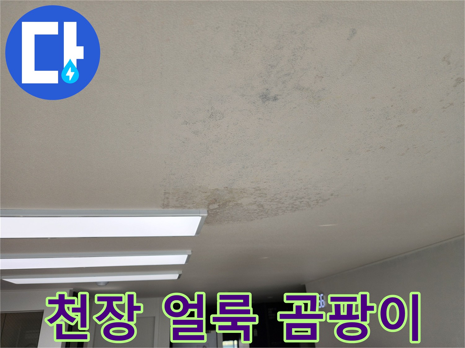 포천 영중면 현장의 천장 곰팡이와 물자국 상태