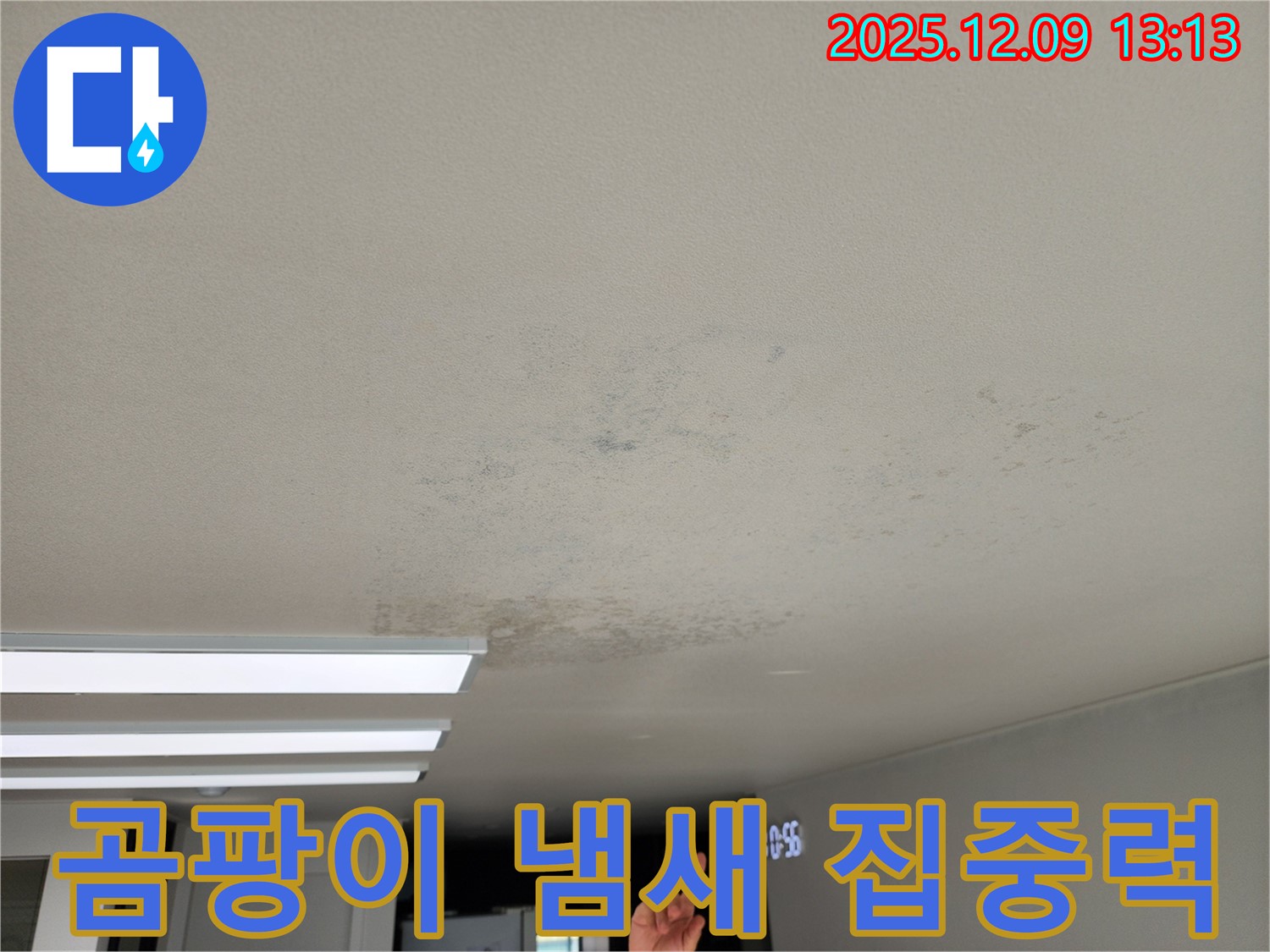 포천시 영중면 - 곰팡이 냄새, 집중력 저하 유발하는 천장 누수
