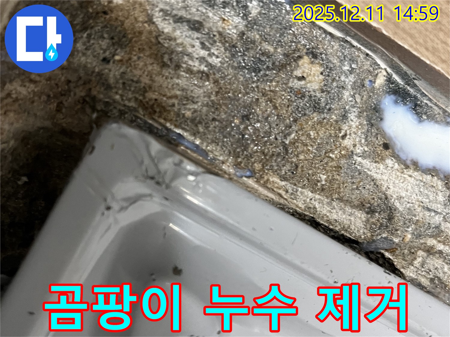 마포구 서교동 세면대 곰팡이 누수 - 곰팡이 제거 및 방수 시공으로 깨끗하게 해결