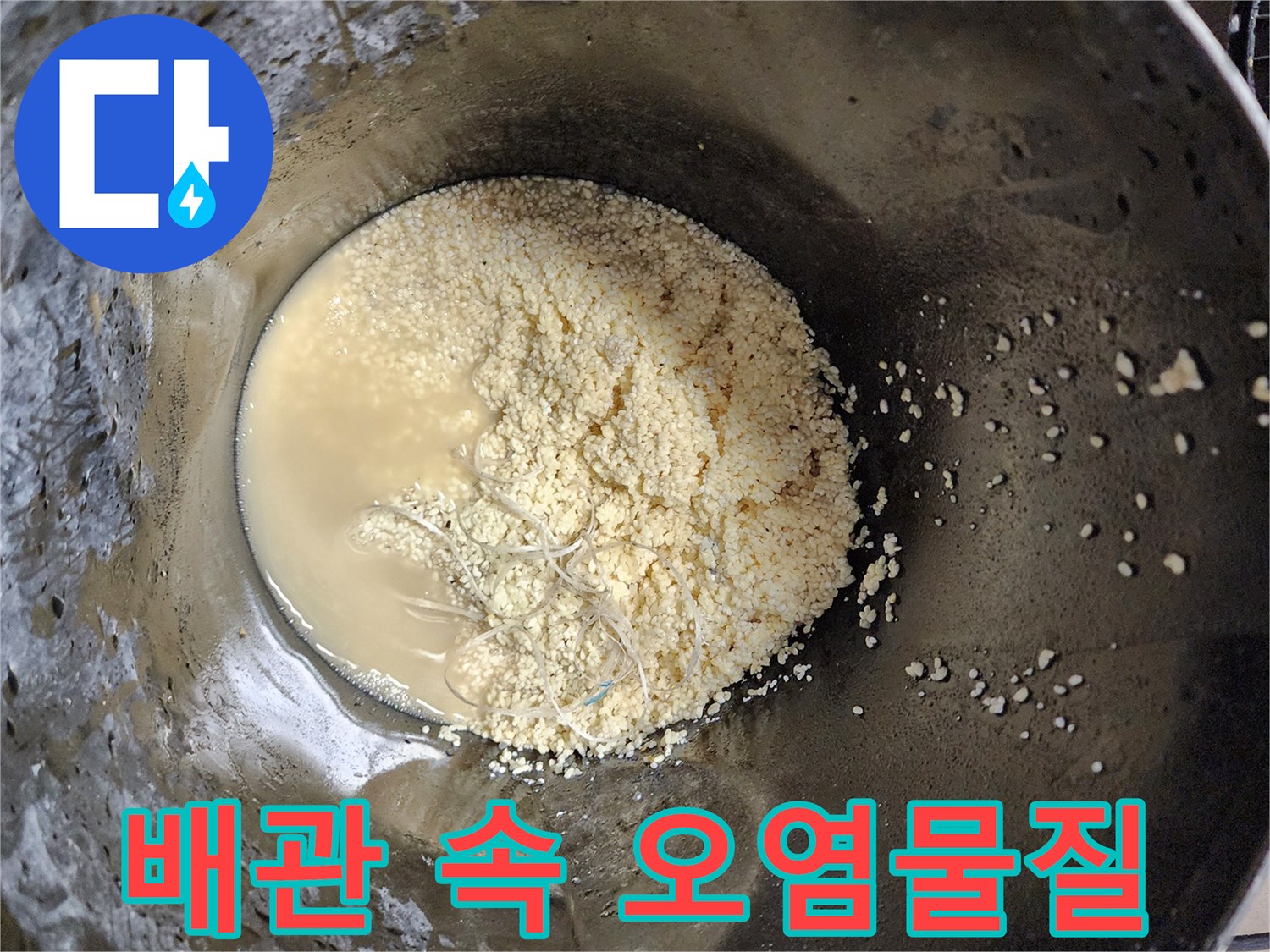 석션기로 흡입한 배수관 내부의 유지방 덩어리와 탁한 액체