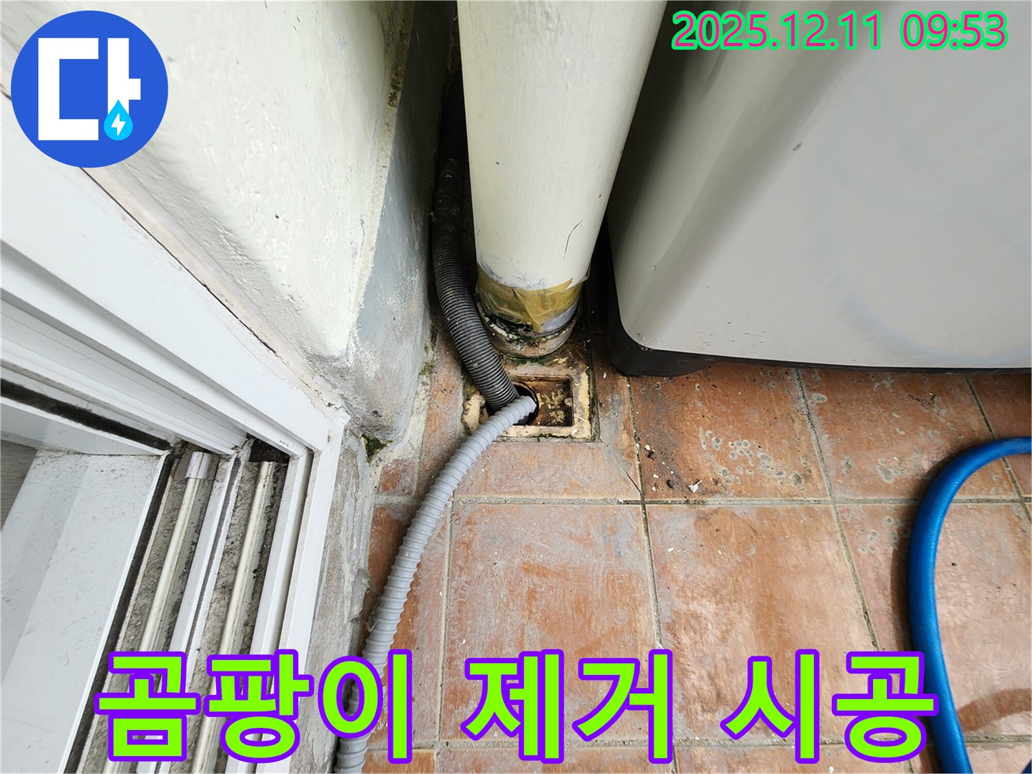 세탁기 배수구 주변 곰팡이 제거 및 재발 방지 시공 - 깨끗하게 해결