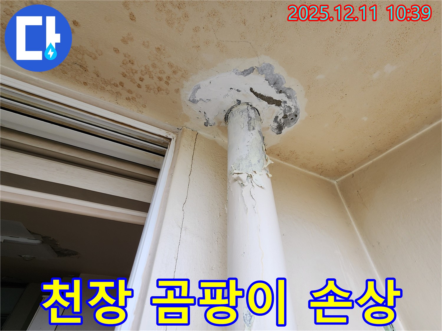 심각한 천장 오염 - 곰팡이 - 배관 손상 - 긴급 진단