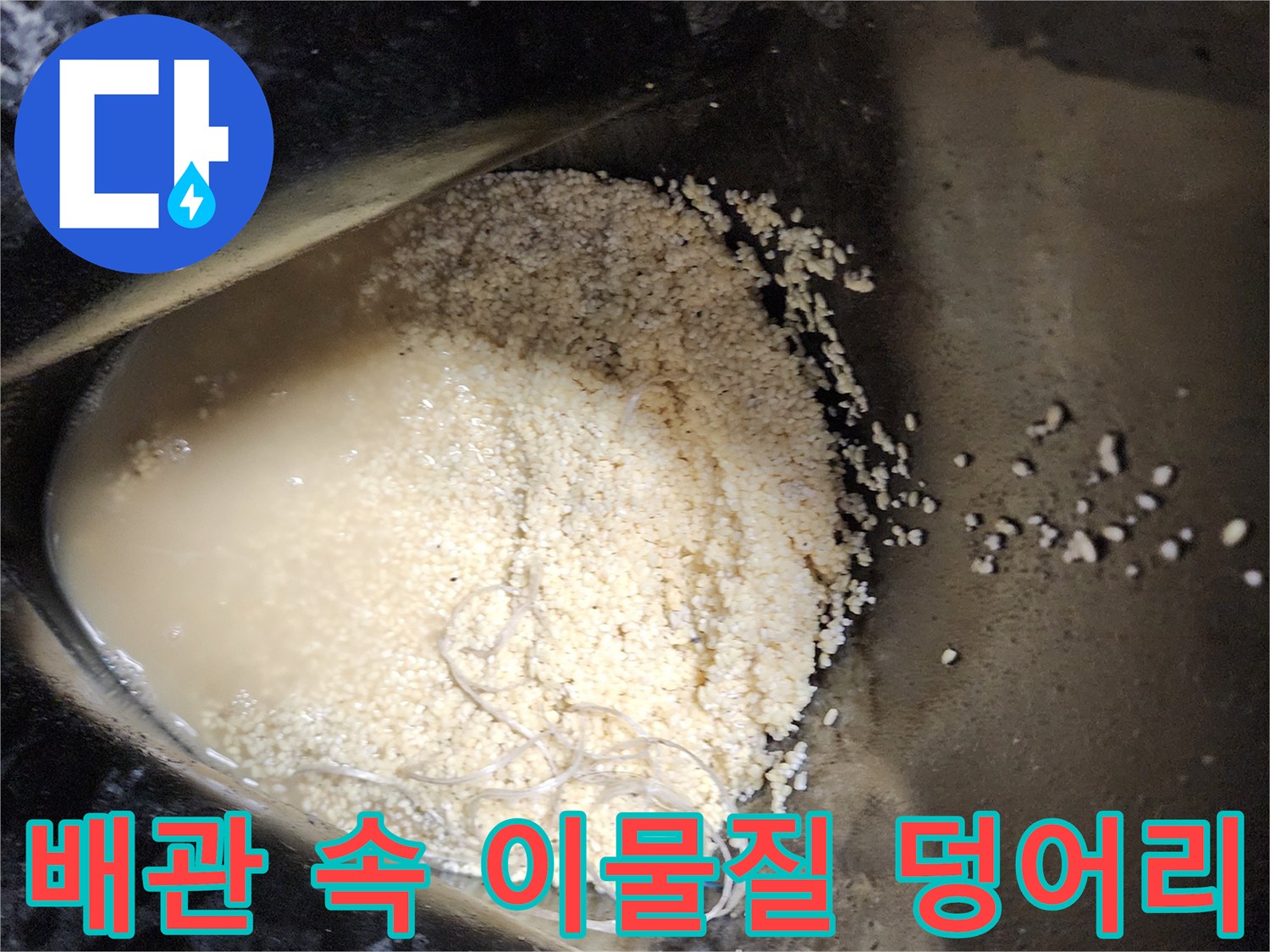 싱크대-배관-내부에서-추출된-기름슬러지와-탁한-오수