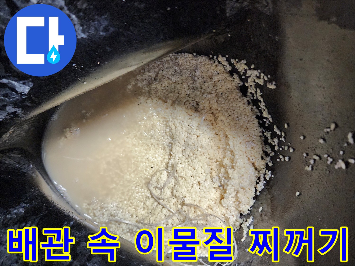 싱크대 배관에서 추출된 기름 슬러지와 탁한 오수 상태
