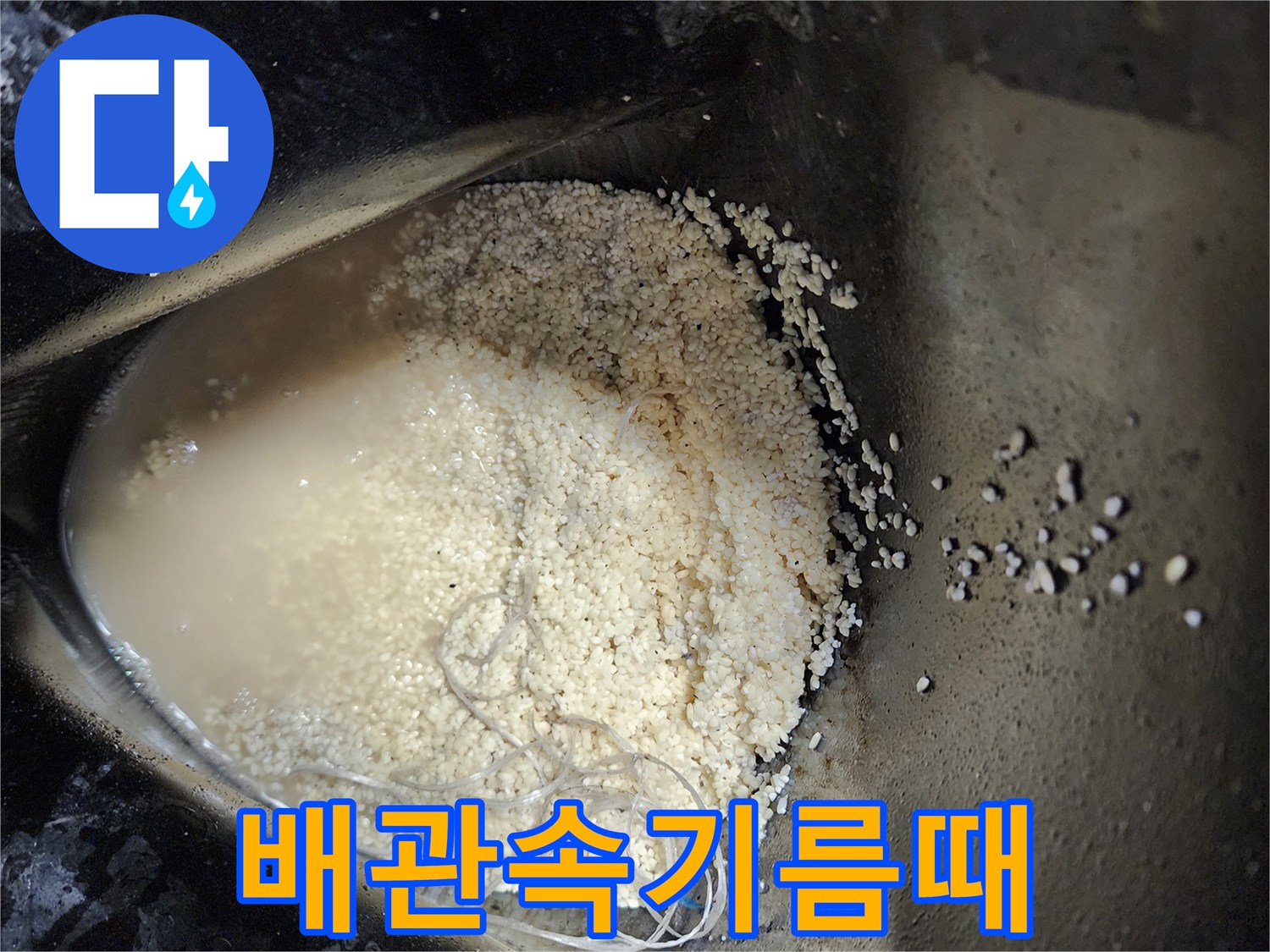 싱크대 배관에서-추출한 오염된 물과 찌꺼기