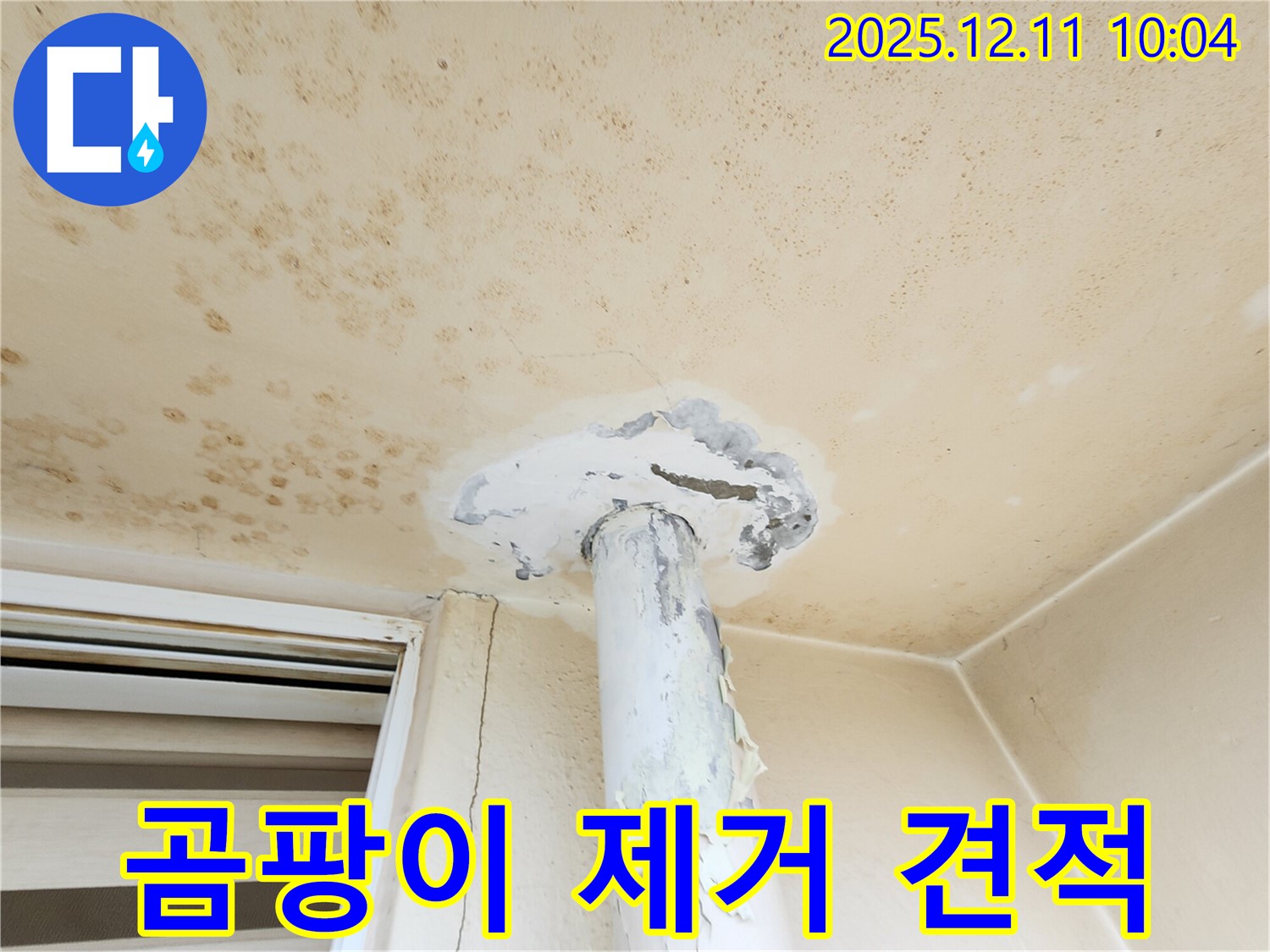 천장 곰팡이 - 제거 비용은 얼마? 합리적인 견적 제공!