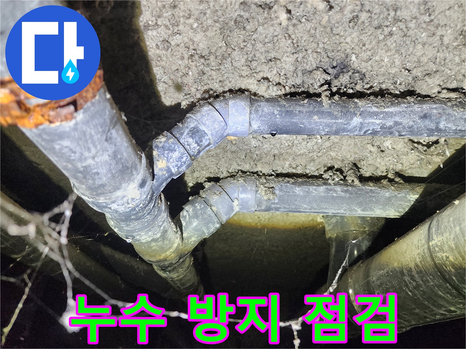 보문동 아남아파트 지하실 천장 배관 누수 방지를 위한 꼼꼼한 점검 현장