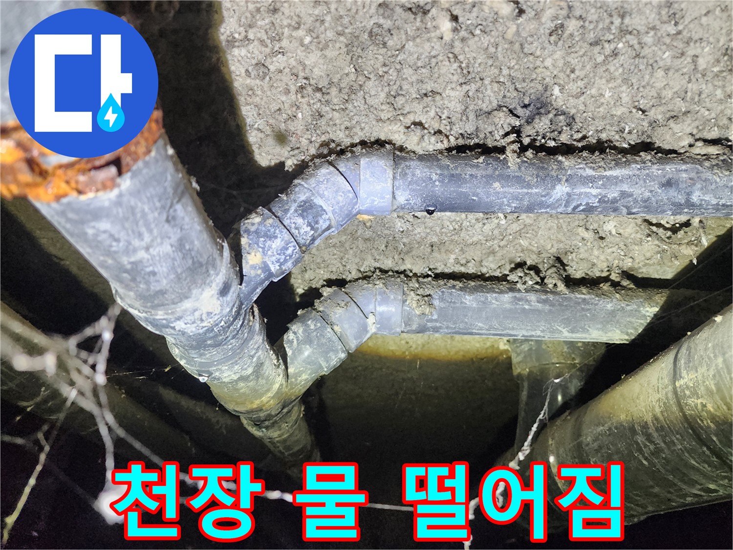 보문동 아남아파트 천장에서 물 떨어짐 - 누수 전문가의 긴급 점검