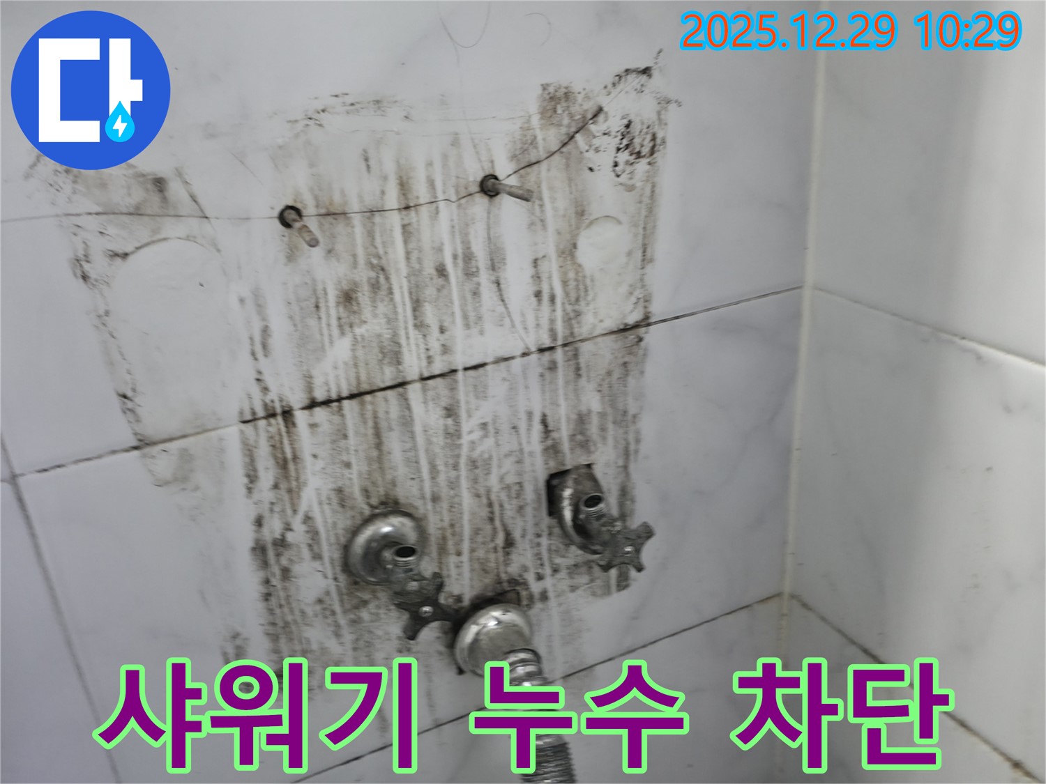 보문동 아남아파트 샤워기 누수 차단 - 누수탐지 전문가가 정확한 원인 분석과 꼼꼼한 시공으로 누수를 완벽하게 차단했습니다.