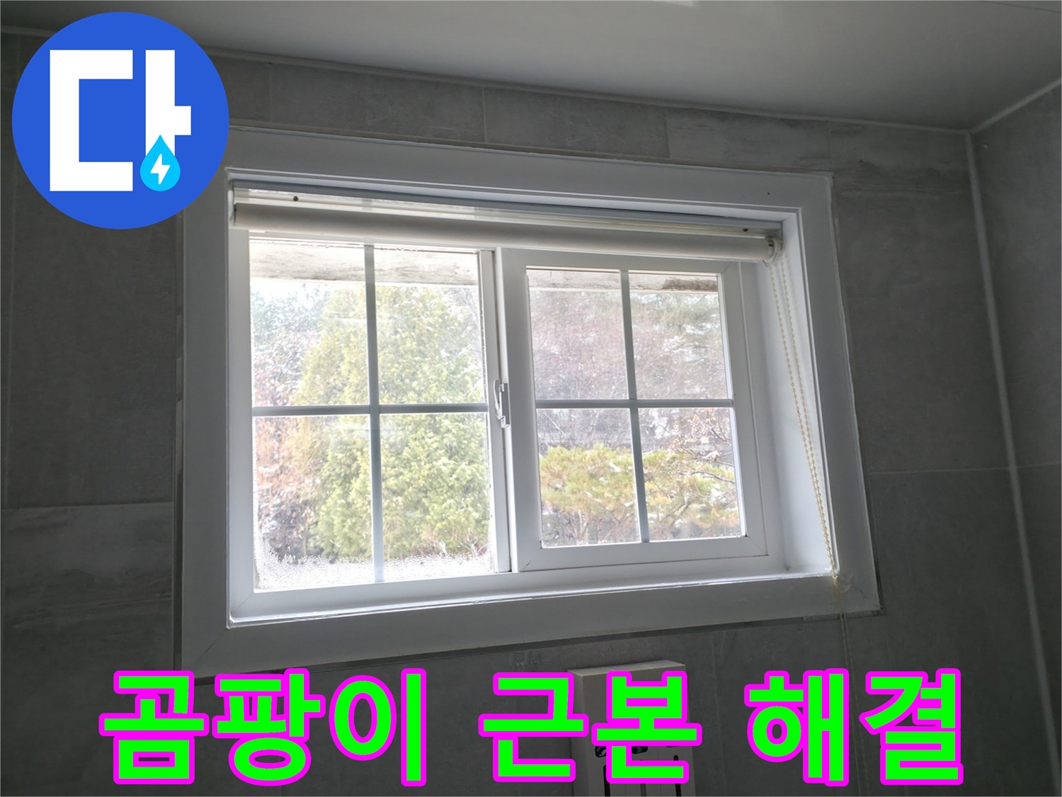 홍천군 서면 팔봉리 욕실 창문 - 곰팡이 문제의 근본적인 해결책 제시