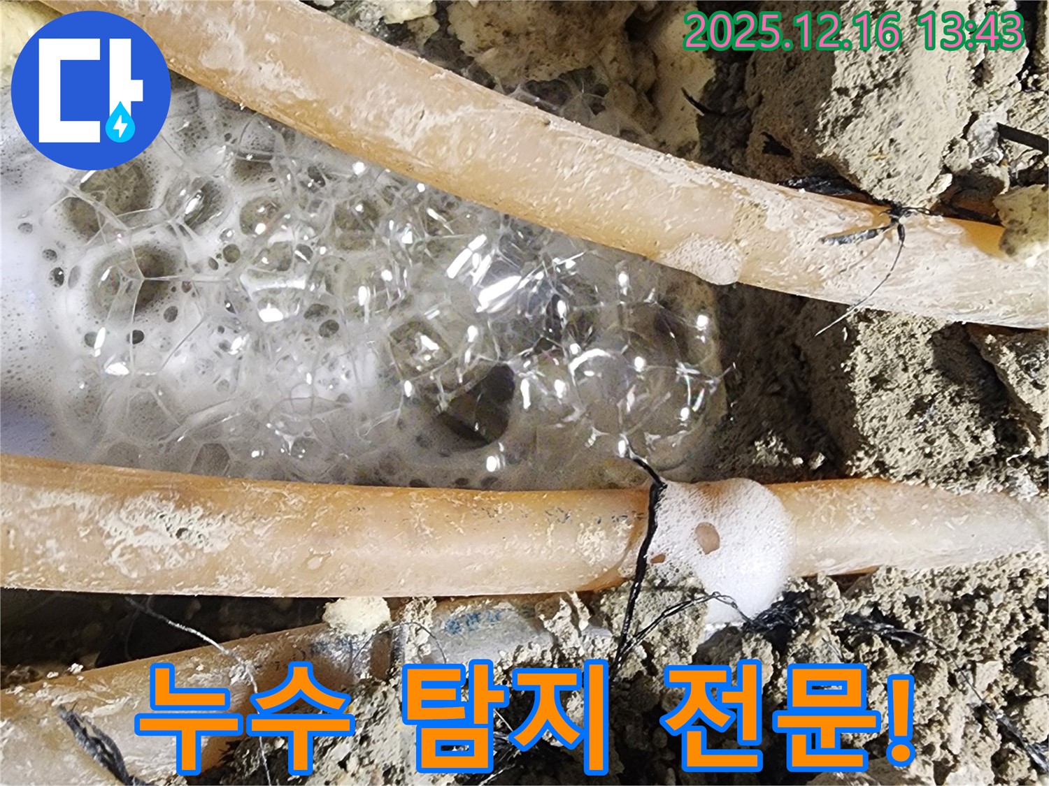 누수 탐지 전문 - 확실한 시공으로 누수 문제 완벽 해결!