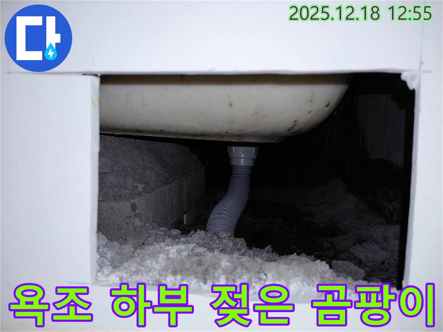 욕조 하부에서 젖은 냄새가 나고 곰팡이가 발생한 모습입니다 - 누수 가능성이 매우 높습니다.