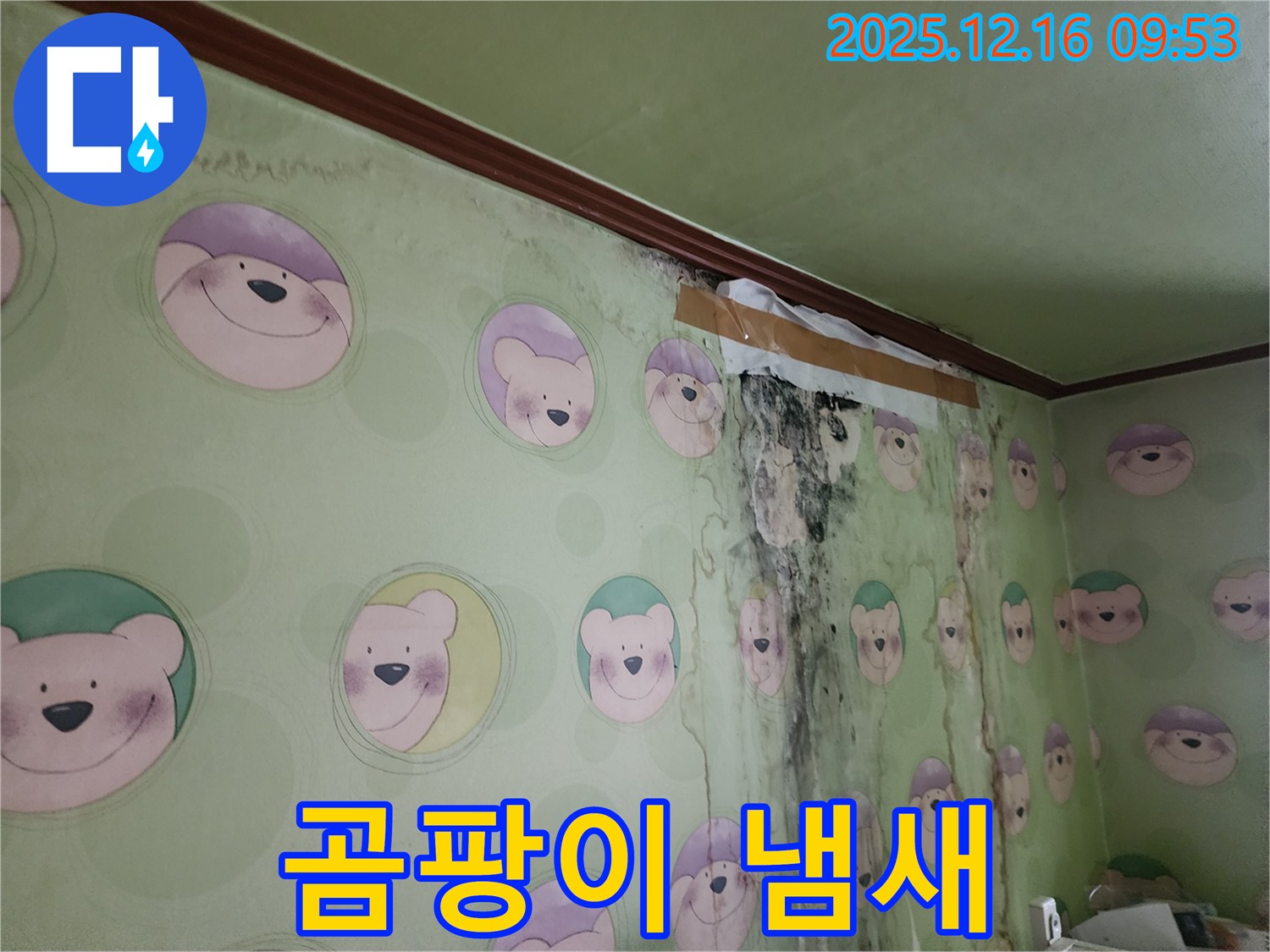 곰팡이로 인해 불쾌한 냄새가 나는 벽 - 곰팡이 냄새 제거와 함께 쾌적한 공간으로 만들어 드립니다.