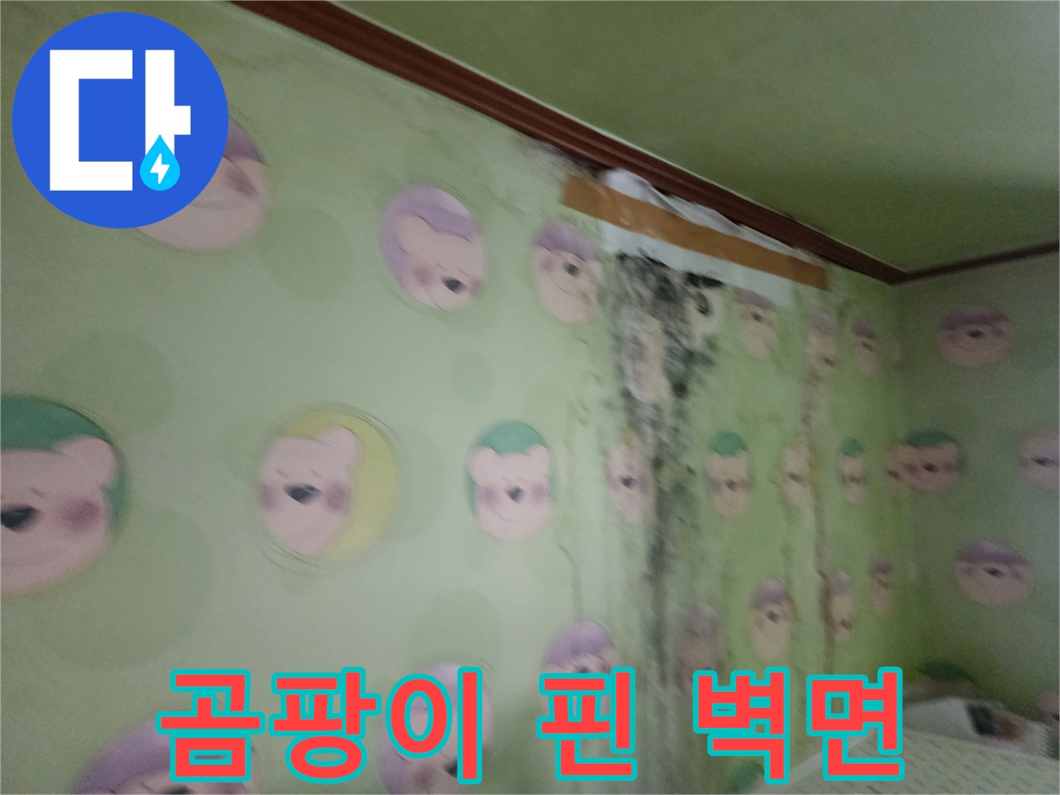 벽지 오염 부위-물샘 흔적과 함께 번진 검은색 곰팡이 무늬