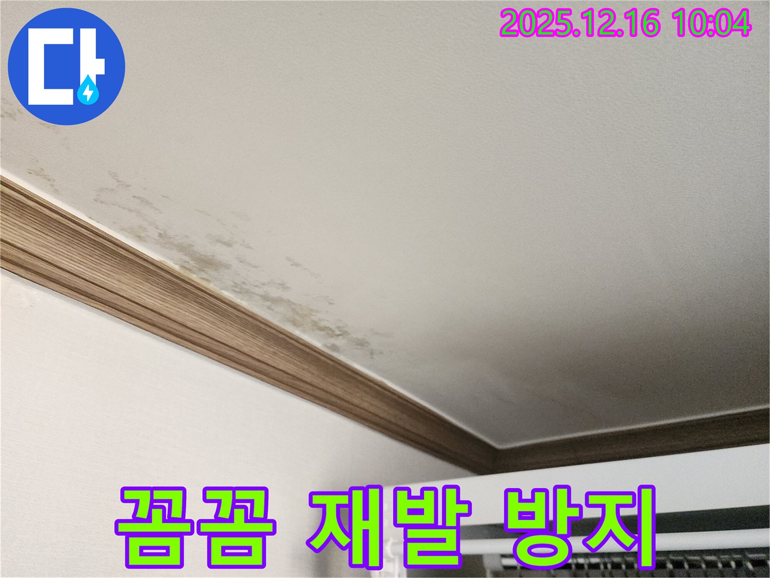 포천 영북면 곰팡이 천장 - 꼼꼼한 시공으로 누수 재발 걱정 없이!