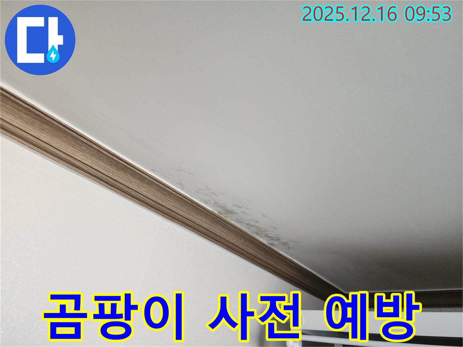 포천 천장 누수 - 곰팡이 발생 전 사전 점검으로 누수를 예방하세요!