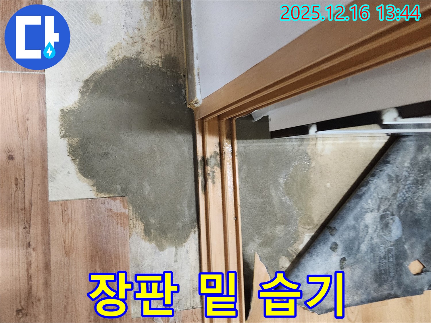 영북면 소홀리 장판 밑 습기 - 누수로 인해 장판 밑에 습기가 찬 모습과 곰팡이 발생 위험을 보여줍니다.