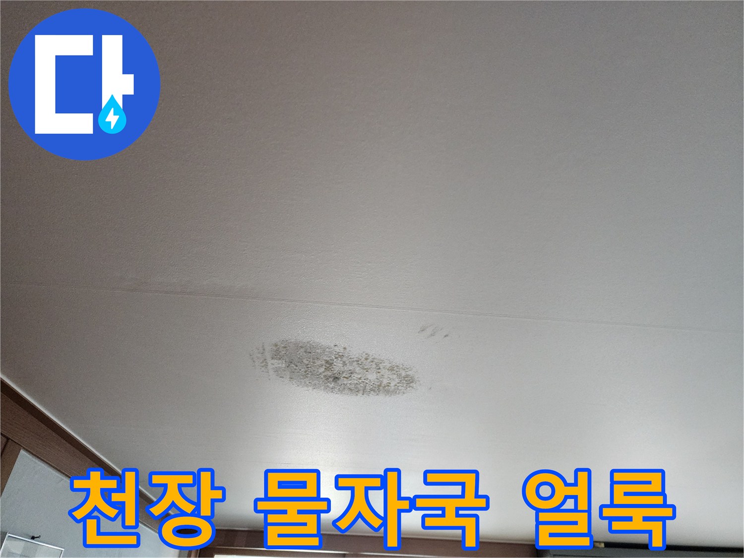 천장 도배지에 번져 있는 누수 발생 부위와 오염