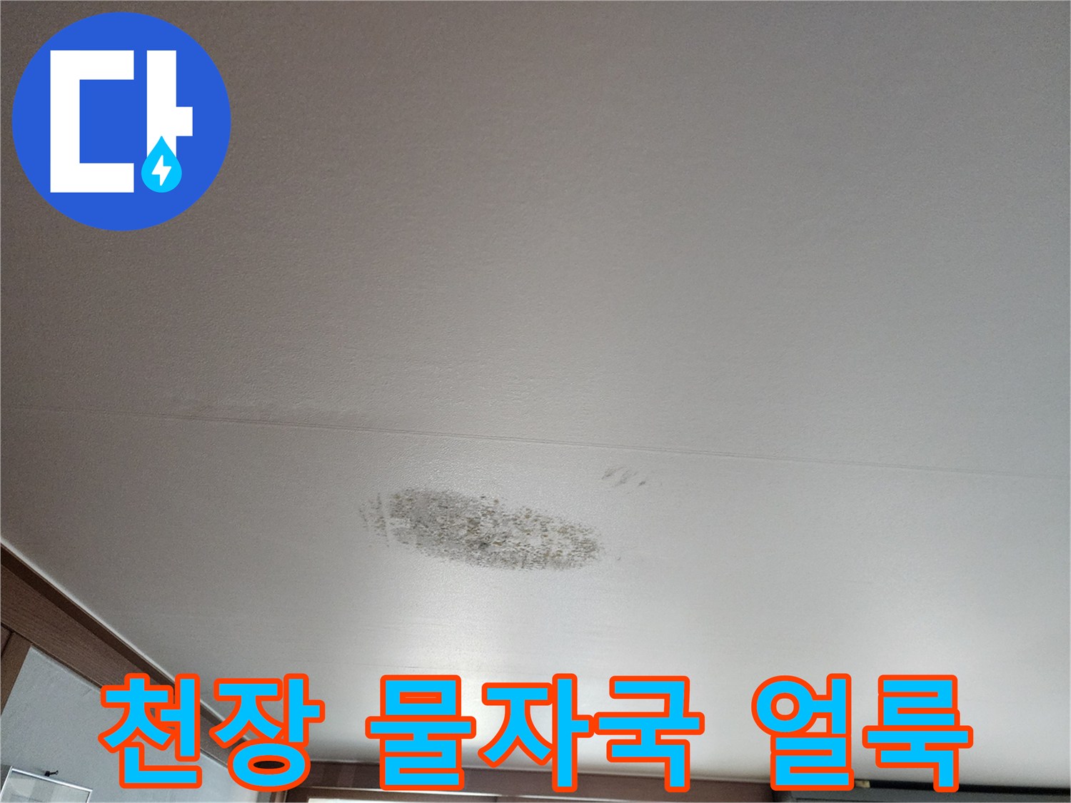 천장-표면에-발생한-어두운-색상의-물자국과-곰팡이-흔적