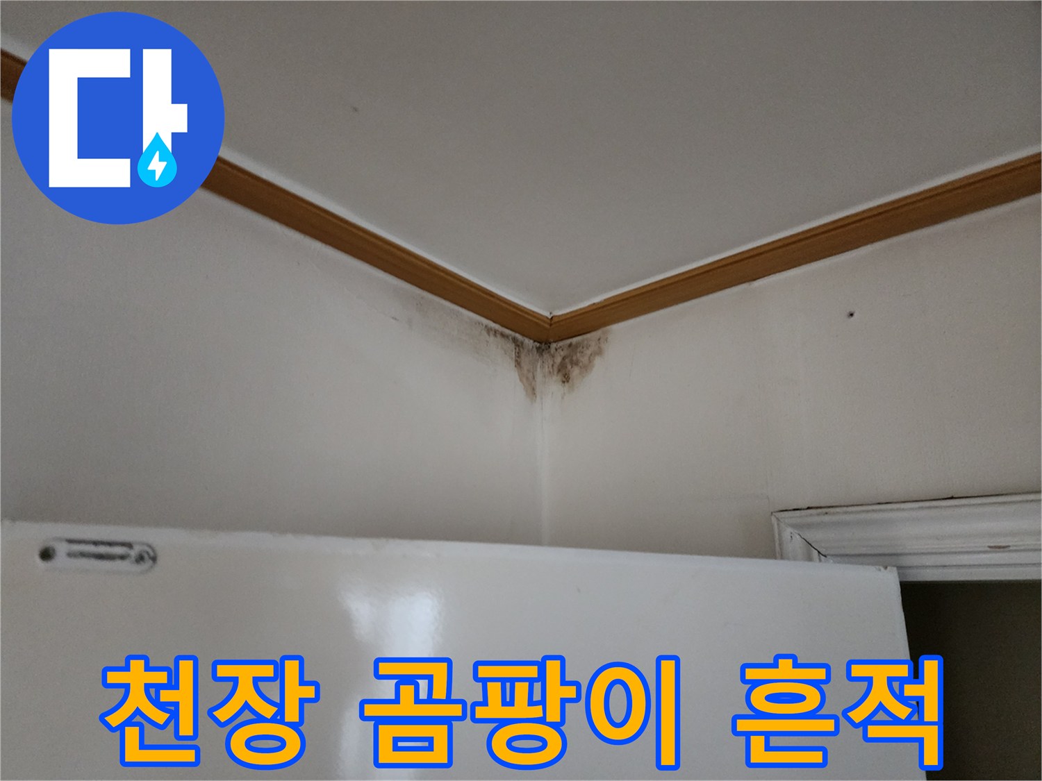 양주 고암동 현장-천장 구석 곰팡이와 변색 부위