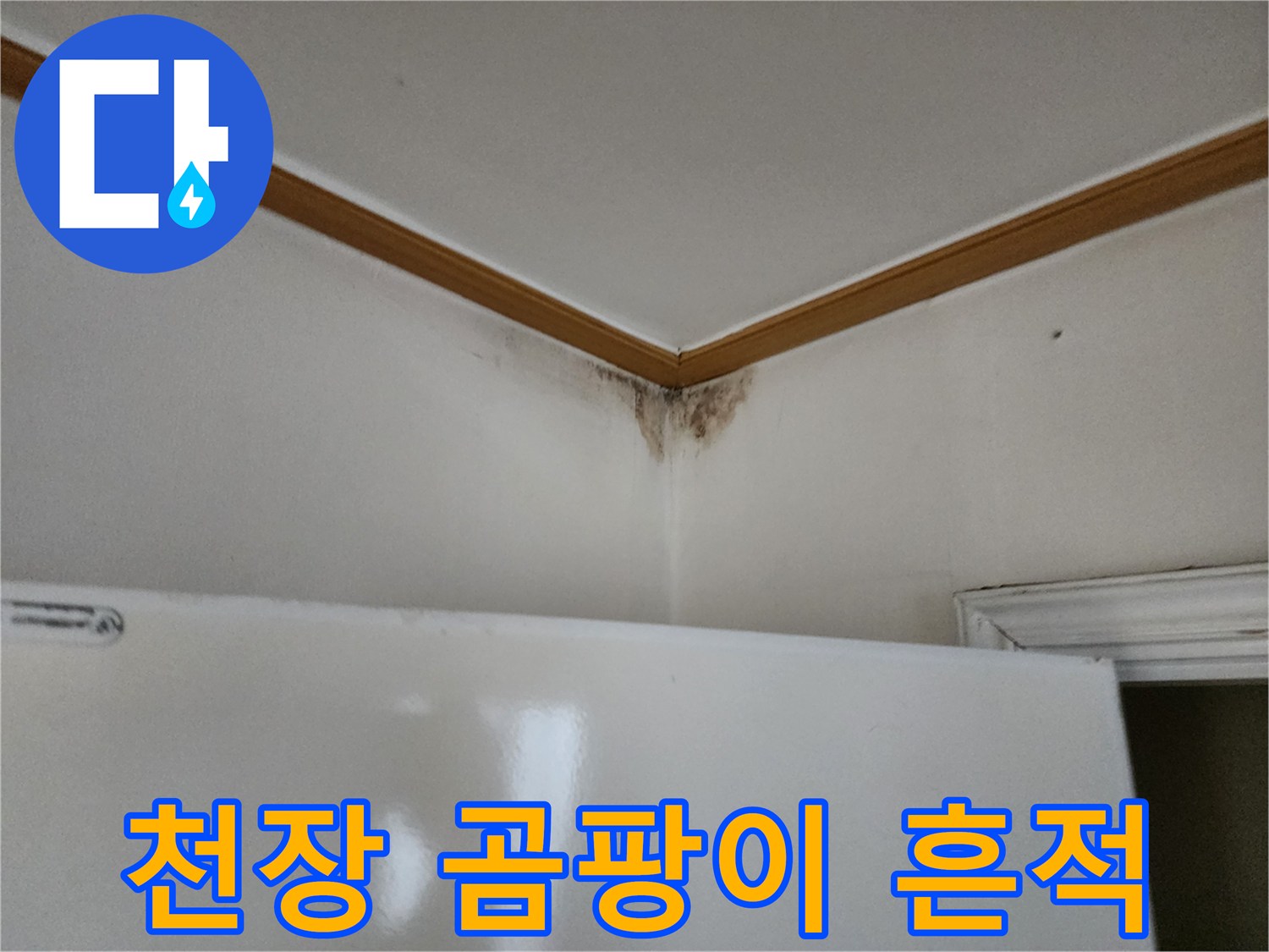 양주시 현장 천장 모서리 곰팡이 발생 상태