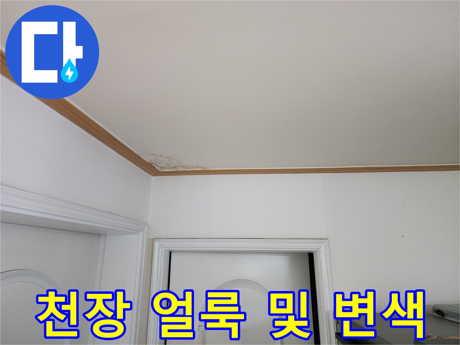 천장 구석의 젖은 자국과 곰팡이 발생 부위