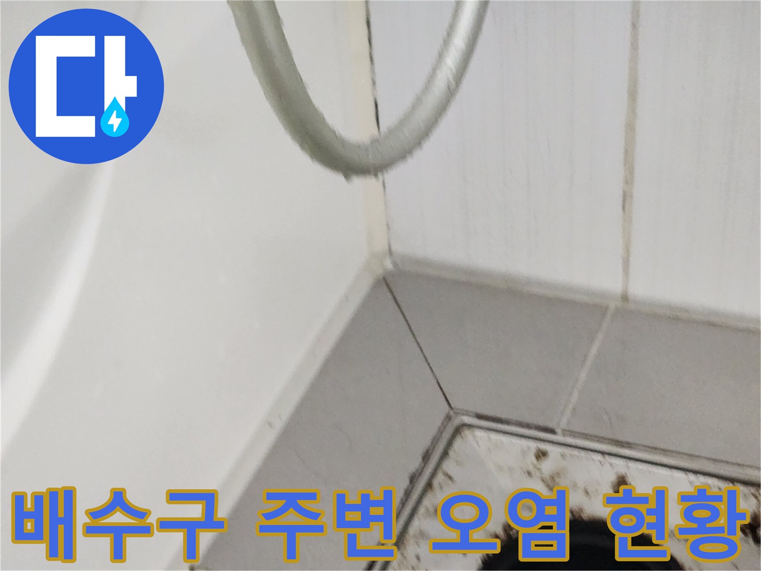 배수구 유가 주변의 오염된 타일 틈새를 근접 촬영한 사진입니다.